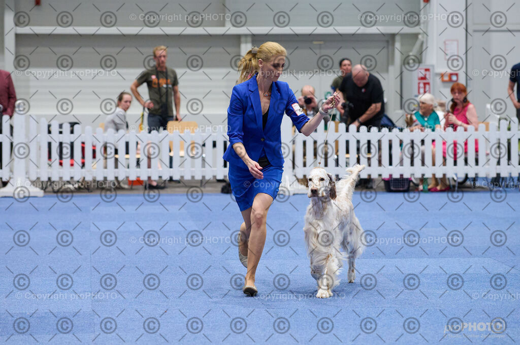 202406_ÖKV-IHA-Tulln24_DSC_3117 | proPHOTO - Realisiert mit Pictrs.com