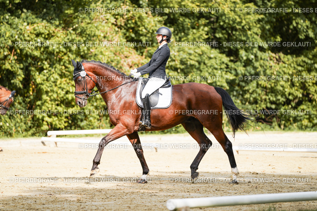 DSC02310 | Pferdegrafie