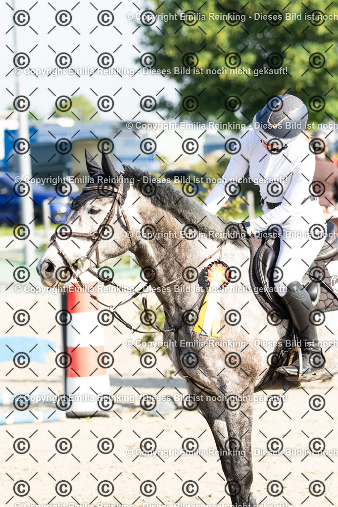 CL5A2367 | Emilia Reinking Fotografie - Realisiert mit Pictrs.com