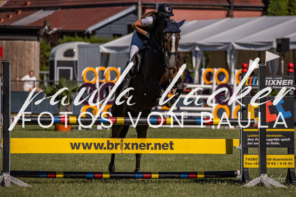 IMG_9823 | Erleben Sie dynamische Sport- und emotionale Tierfotografie in Süddeutschland mit Fotos von Paula. Spezialisiert auf Pferde- und Hundefotografie sowie Sportevents. Kontaktieren Sie mich für einzigartige und ausdrucksstarke Bilder Ihrer besonderen Momente. - Realisiert mit Pictrs.com