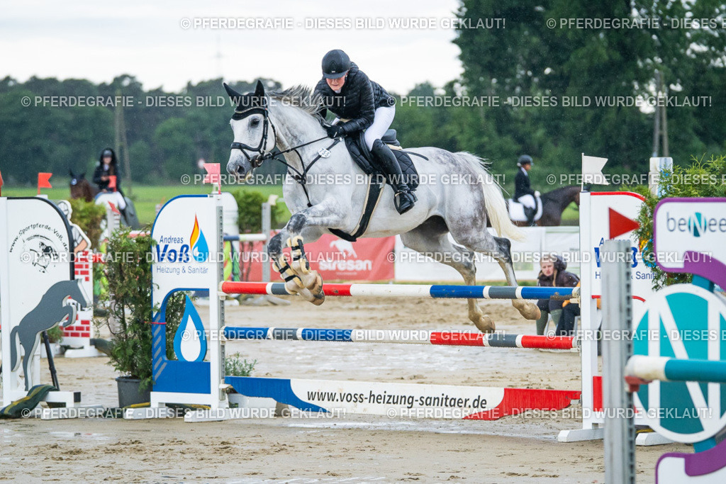 DSC04178 | Pferdegrafie