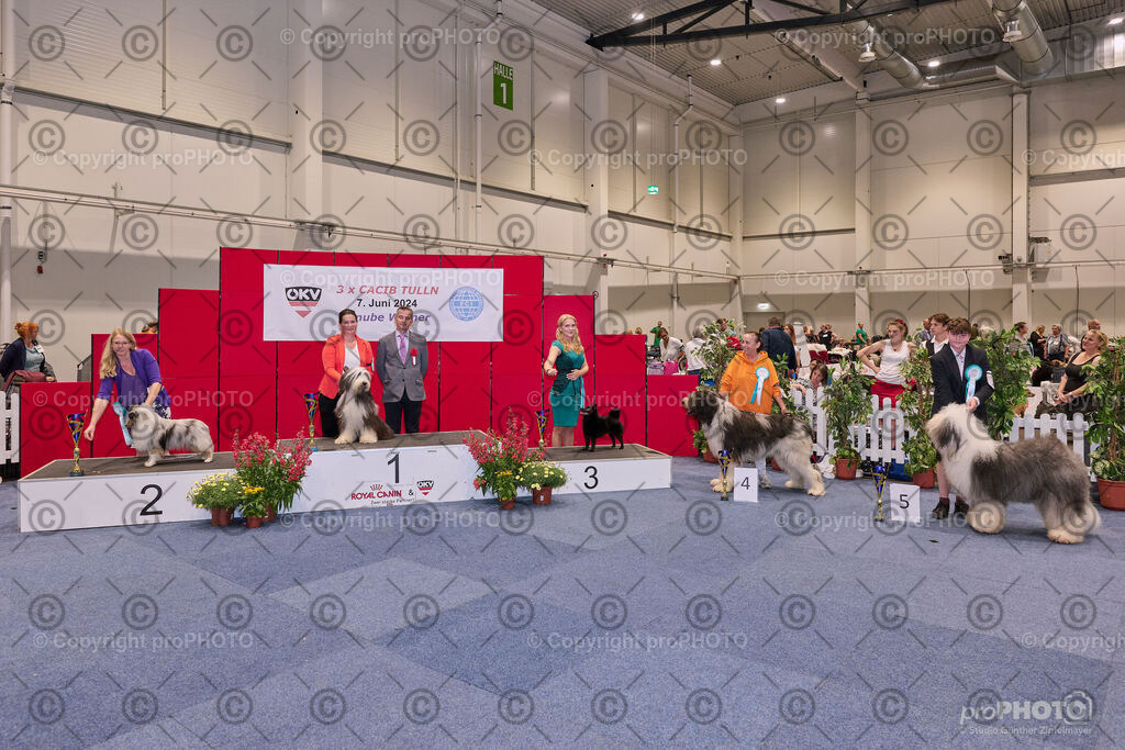 202406_ÖKV-IHA-Tulln24_NZ9_7811 | proPHOTO - Realisiert mit Pictrs.com