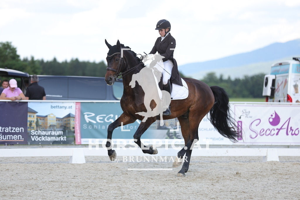 0P6A7559 | Willkommen bei Brunnmayr - Design & Fotografie – Ihrem Spezialisten für Reitturniere und Pferdeveranstaltungen in Oberösterreich, Salzburg und Bayern! Seit über 17 Jahren sind wir leidenschaftlich dabei.