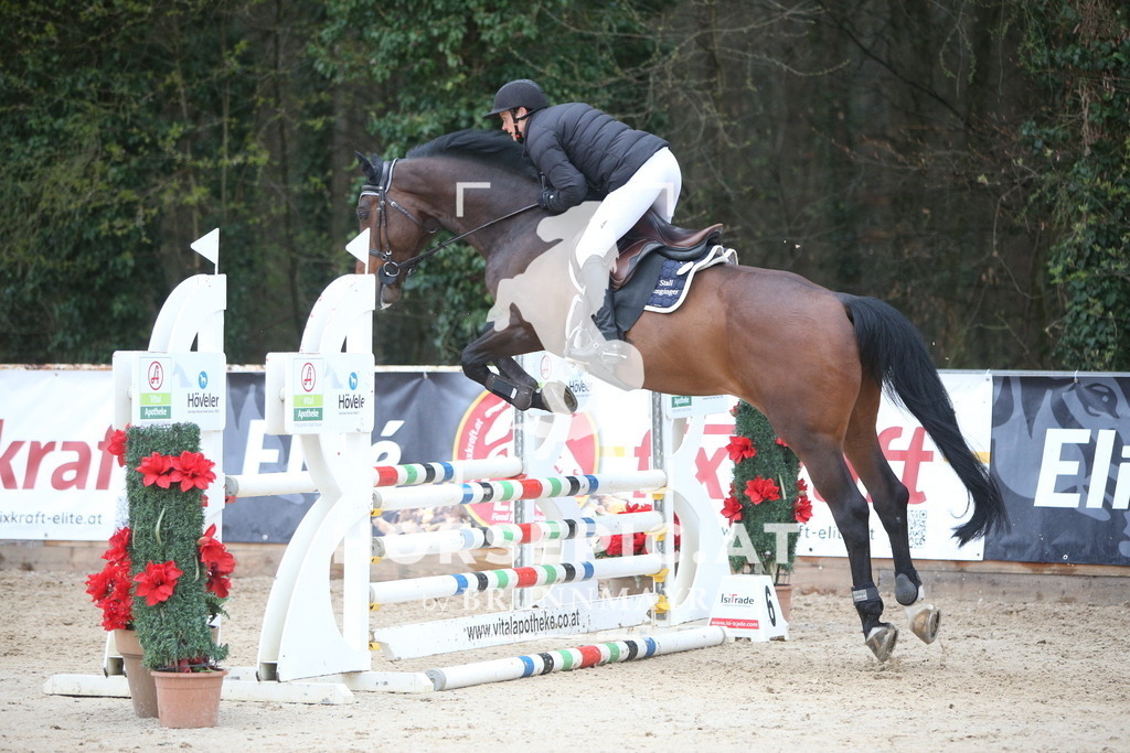 AS8V1751 | Willkommen bei Brunnmayr - Design & Fotografie – Ihrem Spezialisten für Reitturniere und Pferdeveranstaltungen in Oberösterreich, Salzburg und Bayern! Seit über 17 Jahren sind wir leidenschaftlich dabei.