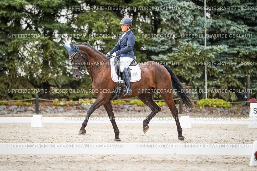 DSC09531 | Pferdegrafie