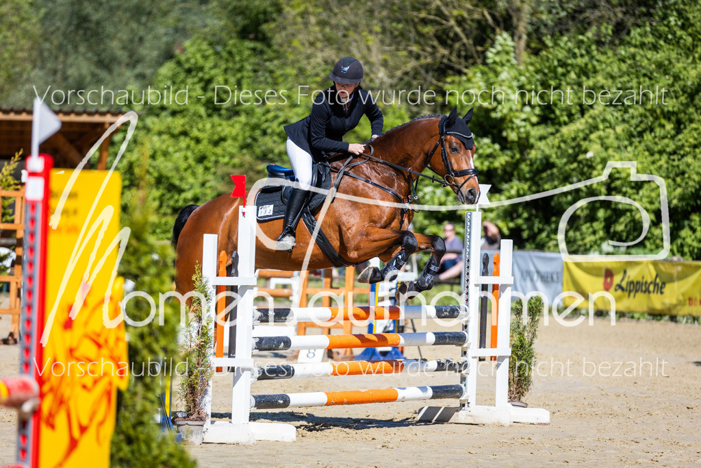 Donop24-A2Spr-093 | MomenTaufnahmen Pferdesportfotos