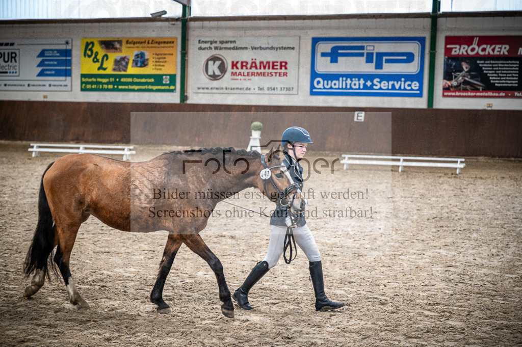Hallenreittunier Voxtrup 2023 | Entdecke hochwertige Reitturnierfotos von Foto Oger. Professionell, emotional und authentisch – jetzt Lieblingsmomente im Shop bestellen.Deutschlandweite Turnierfotografie. - Realisiert mit Pictrs.com