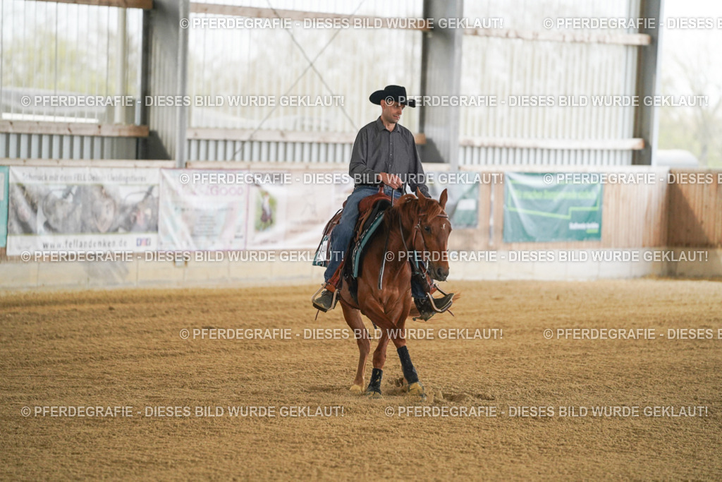 DSC07765 | Pferdegrafie