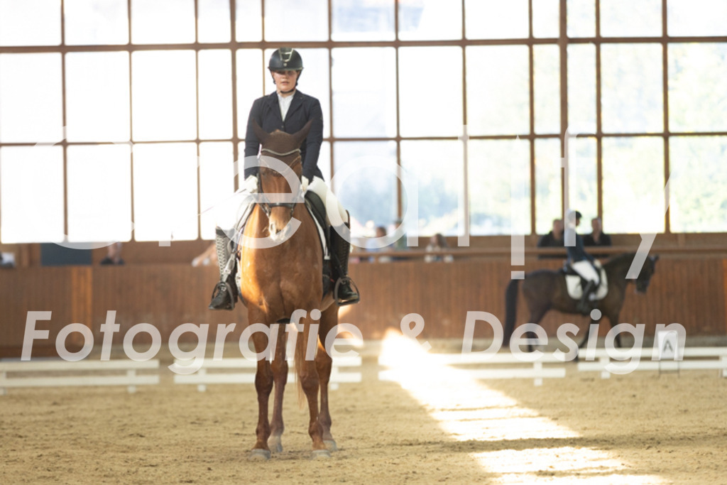 IMG_8230 | Creatify Fotografie