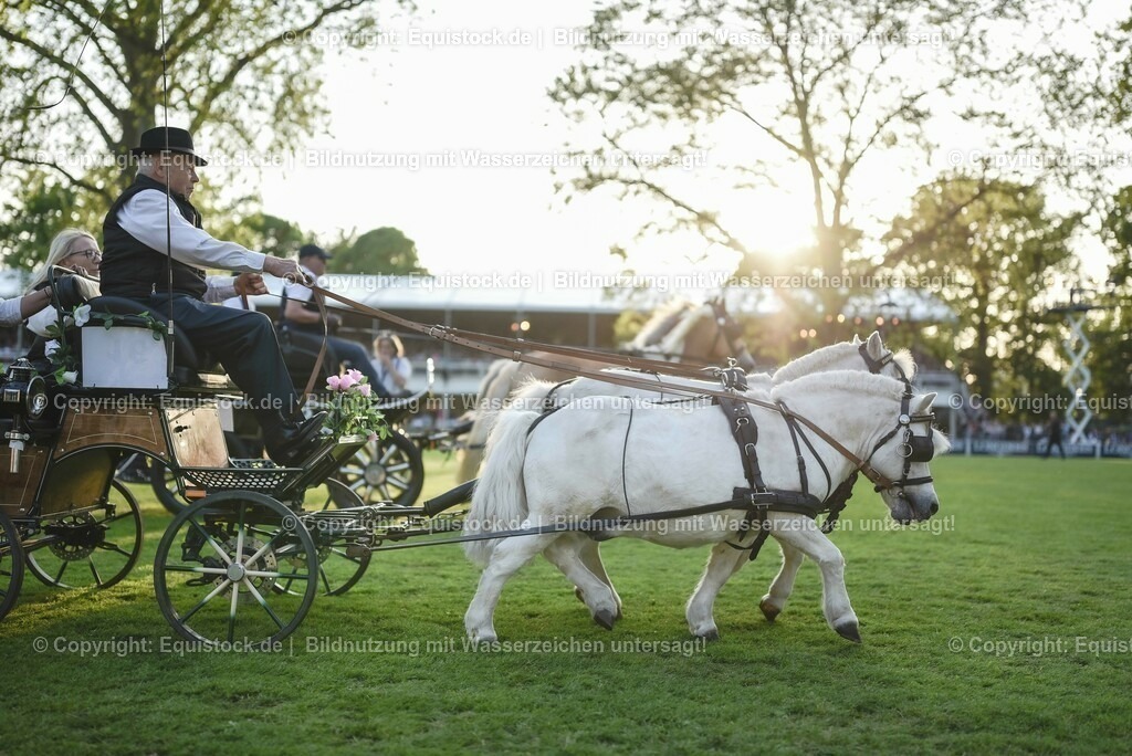 20230526_Pferdenacht_0103 | equistock