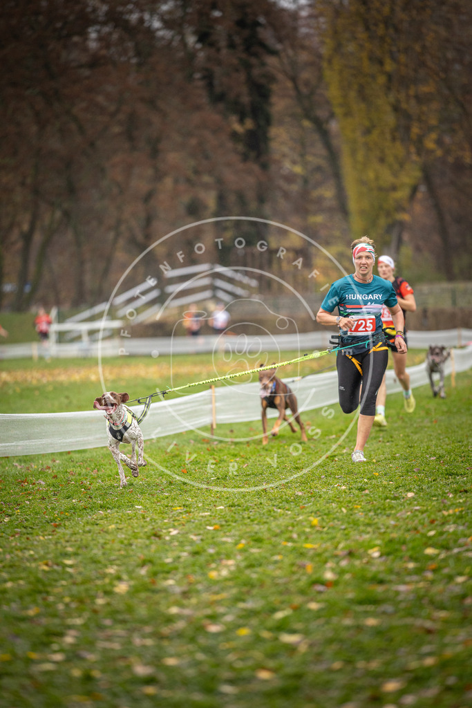 CaniXpix_DV3A9299 | Hundefotografie, Tierfotograf, Pfotenfotografie, Fotoshooting Hund, Hunde Portrait, Hundesport, Hundeportraits, Heideshooting, Hunde, Sportfotograf, Hundefotograf, Turnierhundsport, THS,  - Realisiert mit Pictrs.com