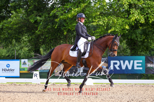DKP41617 | Turnierfotos kaufen im Webshop von Daniel Kuhl Photography – entdecke professionelle Reitsportfotos aus Turnieren & Events. Hochwertige Turnierbilder online bestellen & sichern. Jetzt Fotos von Reitsportturnieren kaufen!