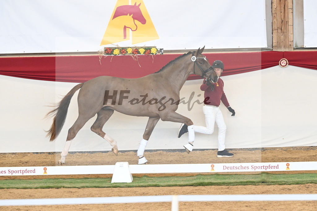 Kat.-Nr. 83 v. Valdiviani_Schult_3261175 | hf-fotografie - Realizzato con Pictrs.com