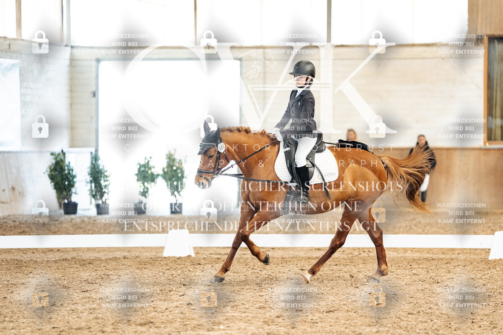 CK900061 | Turnierfotografie Pferdefotografie Trier Rheinland-Pfalz Pferdesport Reitsport Tierfotografie Sportfotografie Pferdevideo Pferdevideografie Equestrianvideography equestrianphotography  - Realized with Pictrs.com