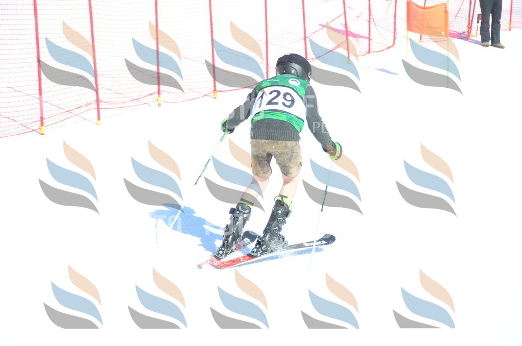 C5961 | holidayphoto