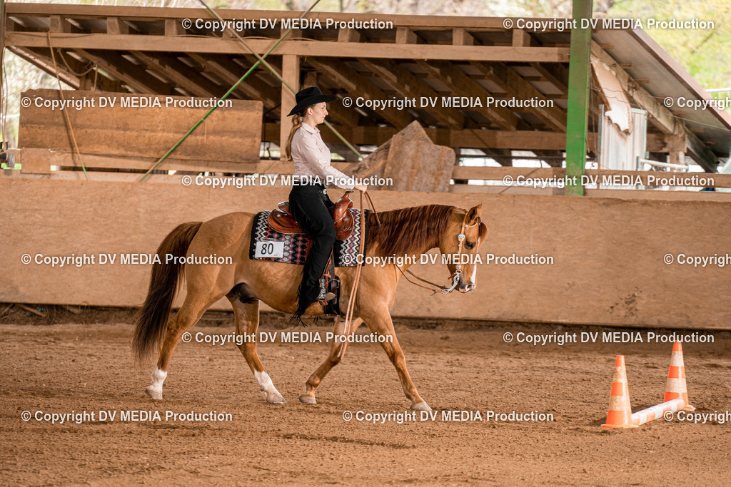 BA300884 | dv-media-shop - Realisiert mit Pictrs.com