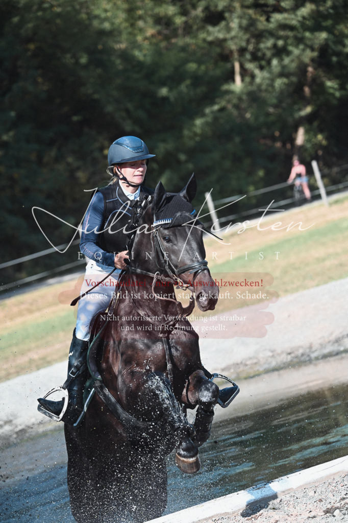 DSC_8805 | Pferde- und Turnierfotografie in Westsachsen. Pferdeportraits, Auftragszeichnungen und intuitive Kunst.