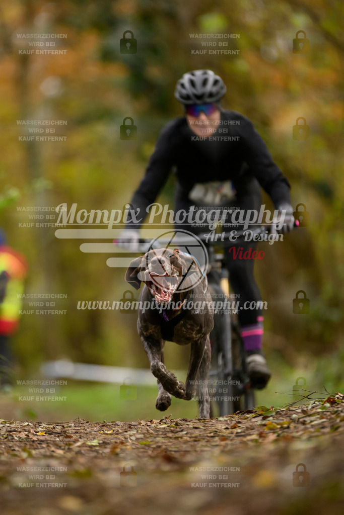 MompixPhotography_Bischwiller24_SA_VTT-34 | PayLife