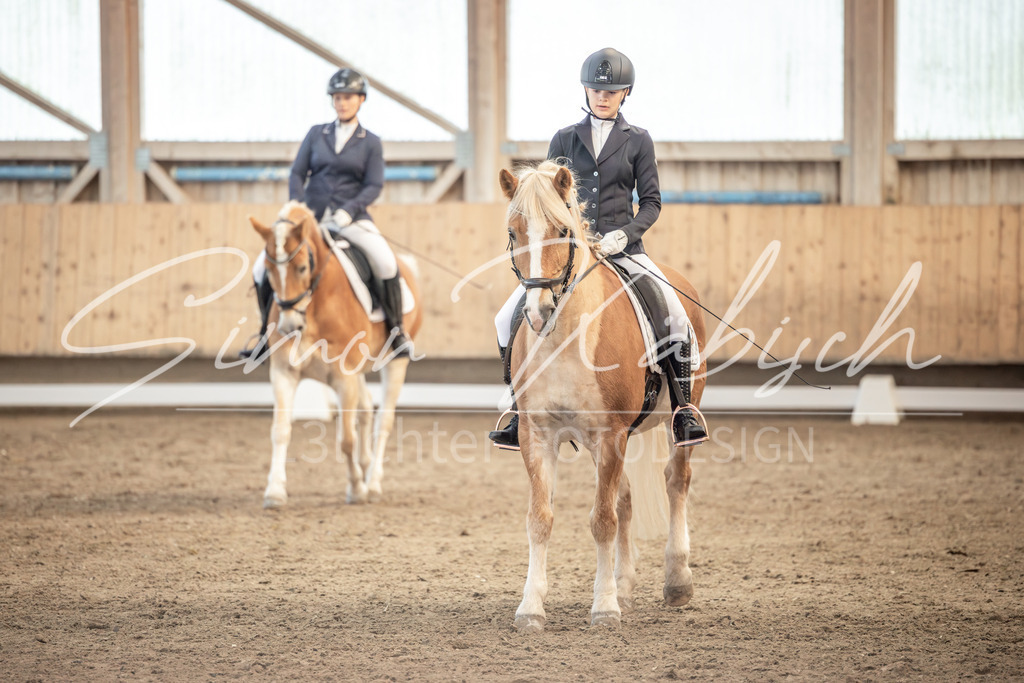 20251011-_3LI6532 | Tierfotografie Pferde, Hunde, Katzen, Haustiere.
Turnierfotografie Reitturniere, Reiten, Springreiten, Dressur in Hanau, dem Main-Kinzig-Kreis und dem Rhein-Main- Gebiet um Frankfurt