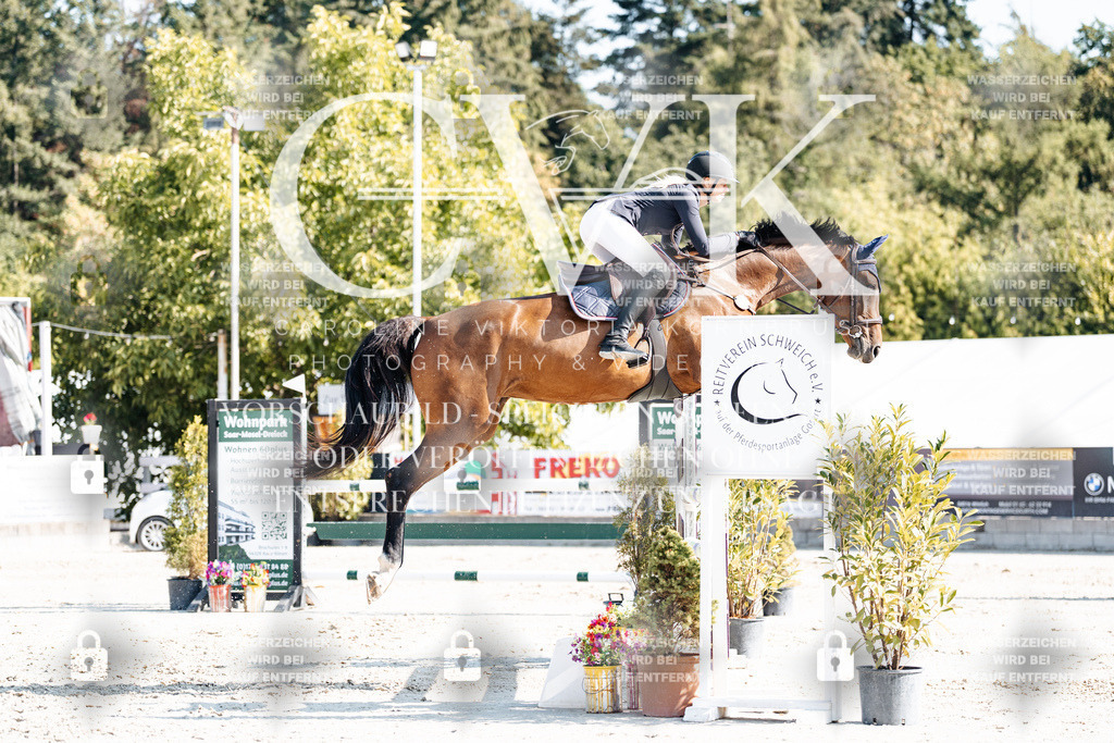 CK902021 | Turnierfotografie Pferdefotografie Trier Rheinland-Pfalz Pferdesport Reitsport Tierfotografie Sportfotografie Pferdevideo Pferdevideografie Equestrianvideography equestrianphotography  - Realisiert mit Pictrs.com
