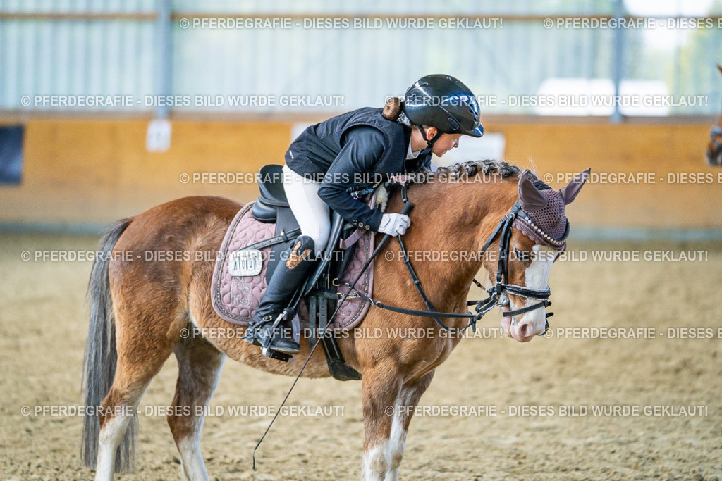 DSC03128 | Pferdegrafie