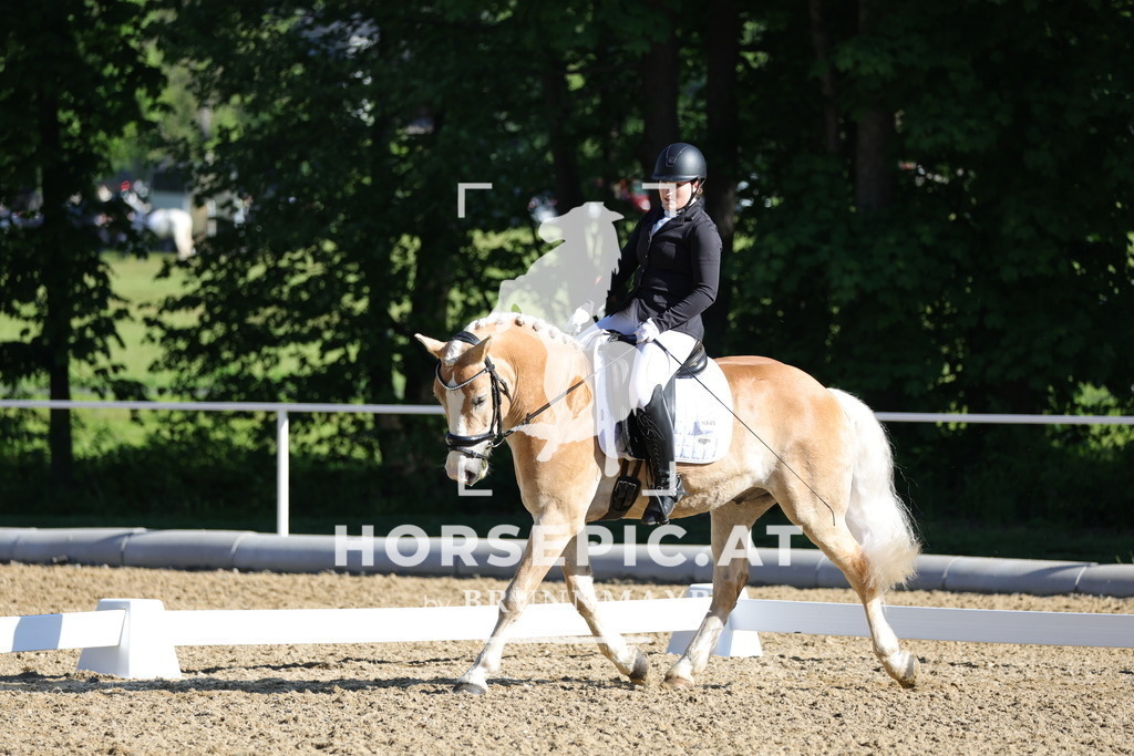 0P6A9366 | Willkommen bei Brunnmayr - Design & Fotografie – Ihrem Spezialisten für Reitturniere und Pferdeveranstaltungen in Oberösterreich, Salzburg und Bayern! Seit über 17 Jahren sind wir leidenschaftlich dabei.