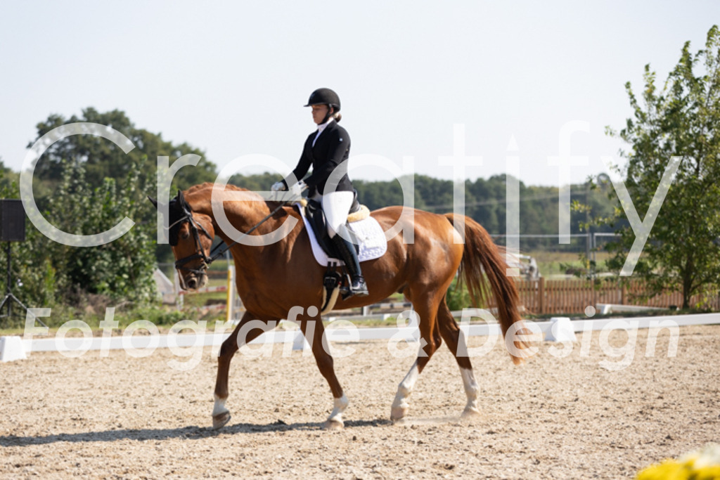 IMG_4843 | Creatify Fotografie