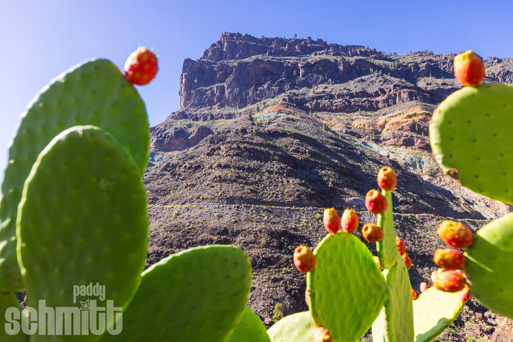 PS-Gran-Canaria-2026-20 | Entdecke die größte Bildgalerie der Region mit Fotografien aus dem Allgäu, der Bodenseeregion, Oberschwaben, dem Donautal und der Schwäbischen Alb. Landschaften, Luftaufnahmen und Reisefotografie als Wandbild und Fotokunst. - Realisiert mit Pictrs.com