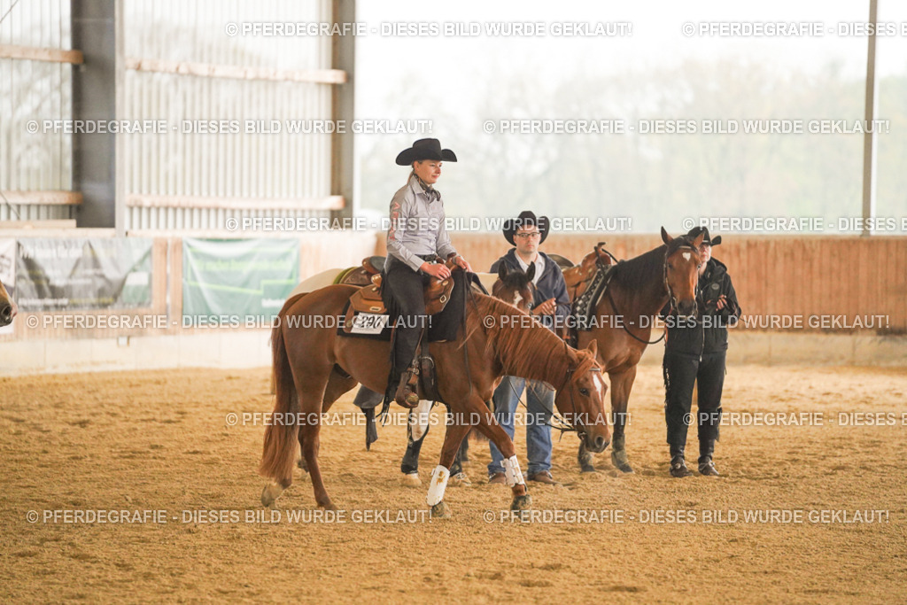 DSC09634 | Pferdegrafie