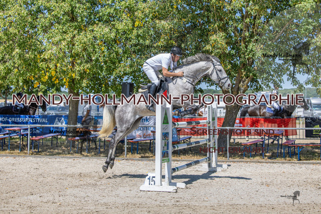 26-7-24 SPF m++-348 | mandyhollmannphotographie