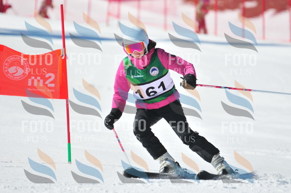 C4131 | holidayphoto