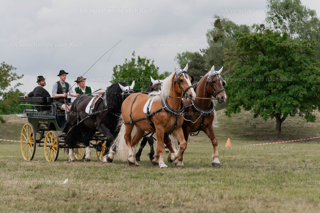 Showprogramm-356 | working equitationturnier fotograf videograf stoibphotography marixx film working equitation deutschland reitsport turnierfotografie eventfotografie equestrian events