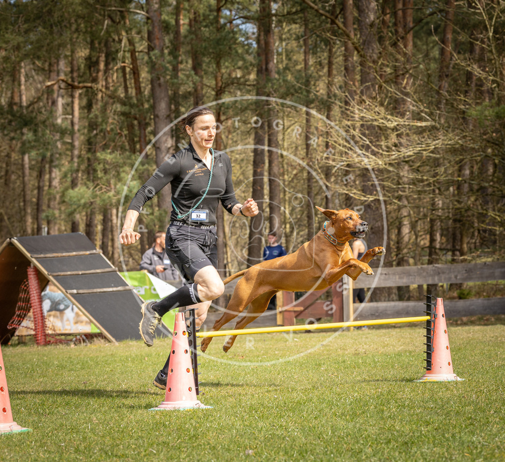 Pfotenfotografie_DV3A6135 | Hundefotografie, Tierfotograf, Pfotenfotografie, Fotoshooting Hund, Hunde Portrait, Hundesport, Hundeportraits, Heideshooting, Hunde, Sportfotograf, Hundefotograf, Turnierhundsport, THS,  - Realisiert mit Pictrs.com