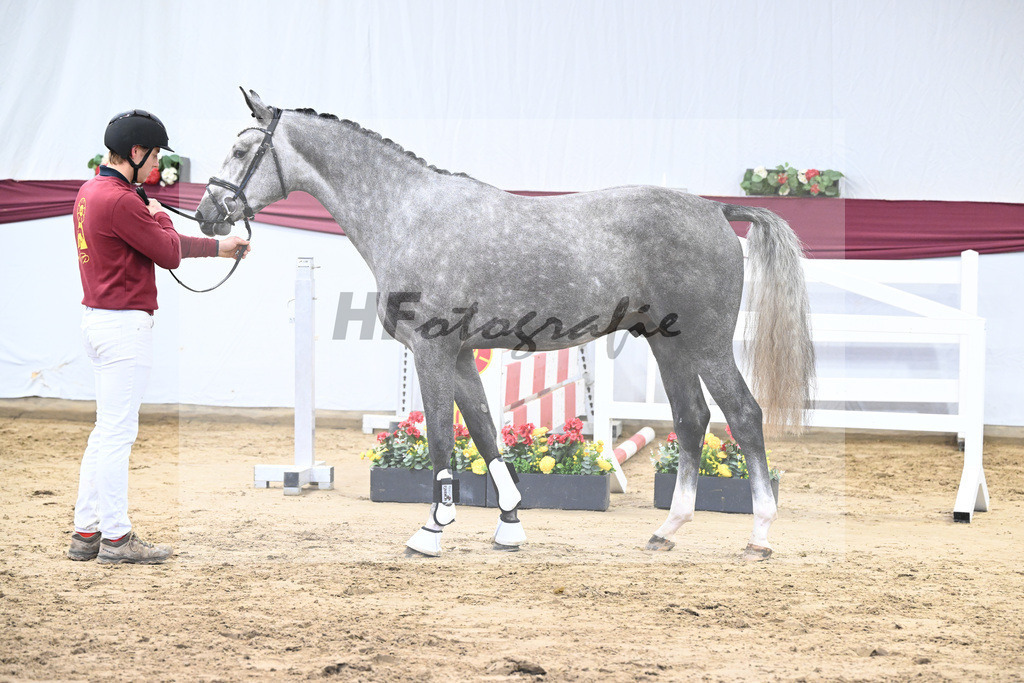 Kat-Nr. 12 I_m Special de Muze x Colman_Michaela Aeschbacher _47250179 | hf-fotografie - Realisiert mit Pictrs.com