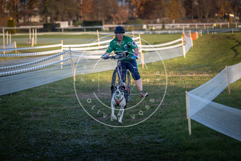 CaniXpix_0L8A2350 | Hundefotografie, Tierfotograf, Pfotenfotografie, Fotoshooting Hund, Hunde Portrait, Hundesport, Hundeportraits, Heideshooting, Hunde, Sportfotograf, Hundefotograf, Turnierhundsport, THS,  - Realisiert mit Pictrs.com