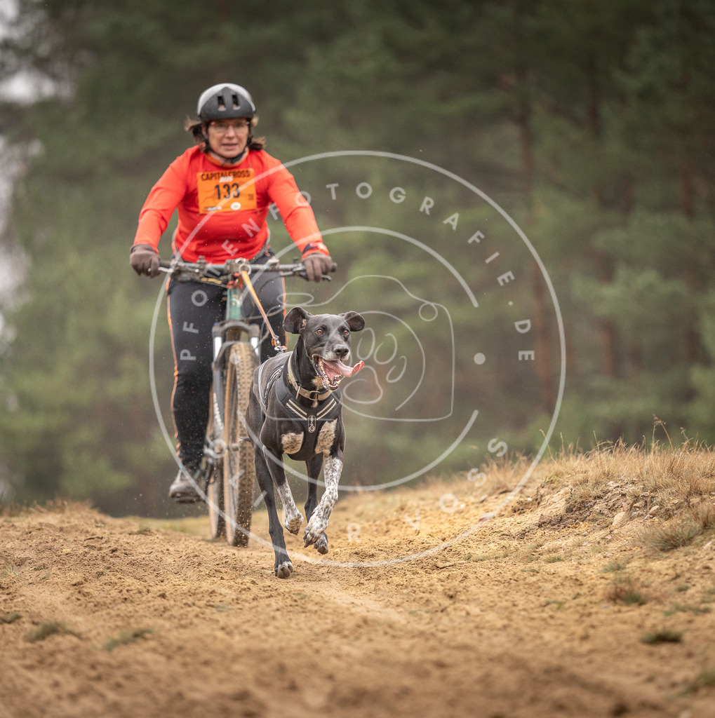 Pfotenfotografie_DV3A3777 | Hundefotografie, Tierfotograf, Pfotenfotografie, Fotoshooting Hund, Hunde Portrait, Hundesport, Hundeportraits, Heideshooting, Hunde, Sportfotograf, Hundefotograf, Turnierhundsport, THS,  - Realisiert mit Pictrs.com