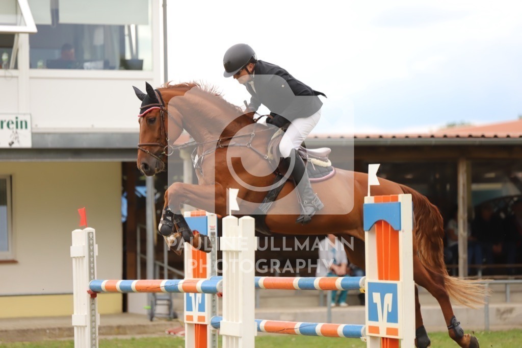 IMG_8294 | Pauline Ullmann Photography - Realisiert mit Pictrs.com