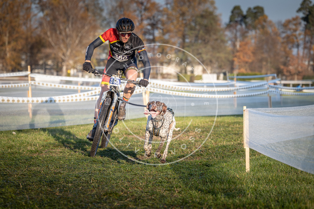CaniXpix_0L8A3723 | Hundefotografie, Tierfotograf, Pfotenfotografie, Fotoshooting Hund, Hunde Portrait, Hundesport, Hundeportraits, Heideshooting, Hunde, Sportfotograf, Hundefotograf, Turnierhundsport, THS,  - Realisiert mit Pictrs.com