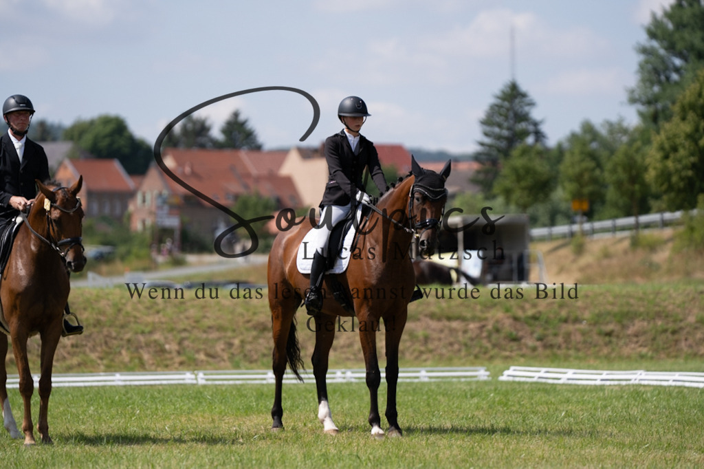 A7V09834 | Pferdefotograf