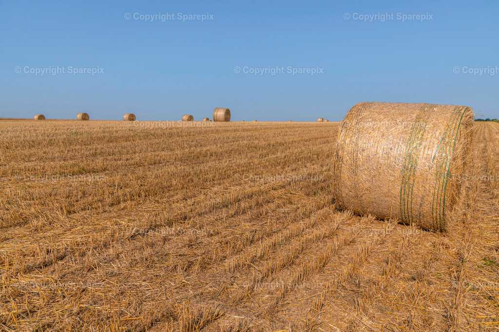 CAR_Agri_Stubblefield11 | light 06/40° - Realisiert mit Pictrs.com