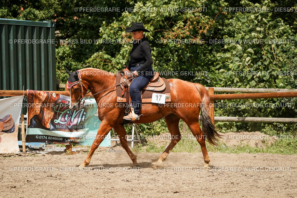 DSC00572 | Pferdegrafie