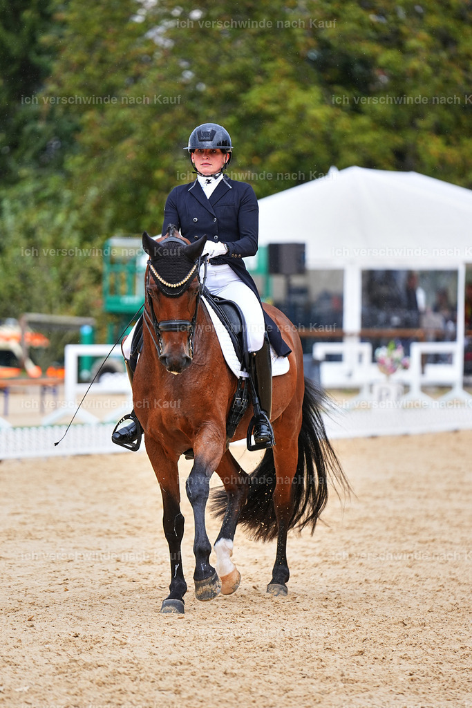 8_1-100-Klasse S_  -Marixx-4202 | working equitationturnier fotograf videograf stoibphotography marixx film working equitation deutschland reitsport turnierfotografie eventfotografie equestrian events