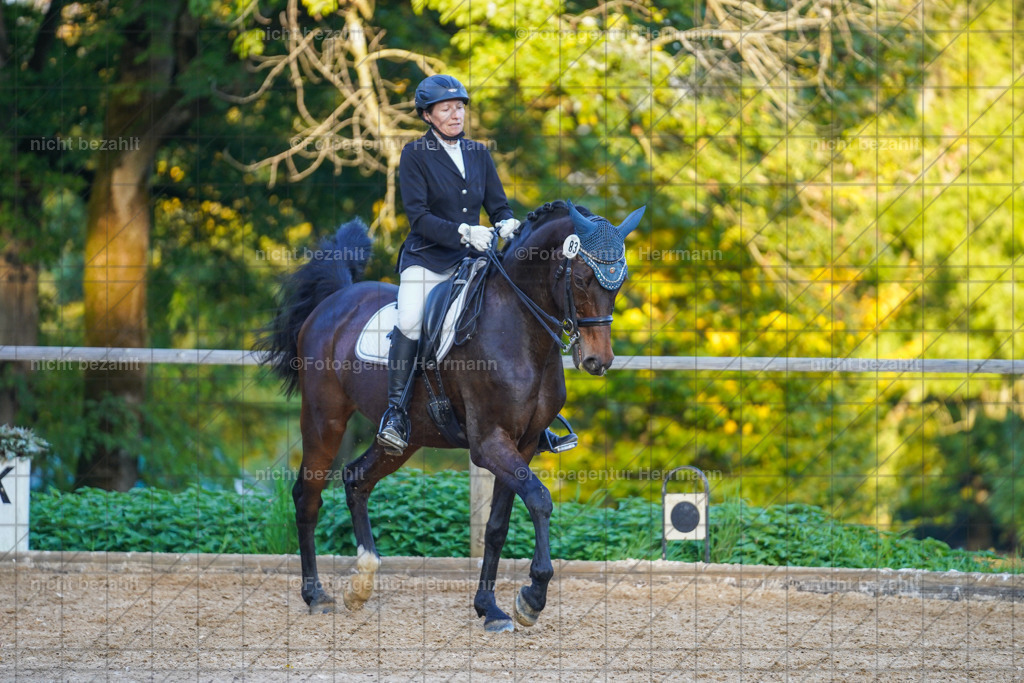 20221007-FAH00508 | Diessen am Ammersee, 2022, Dressur- und Springturnier, Reitsportbilder, Turnierfotografen Bayern, Pferdefotografen, Fotoagentur Herrmann, Turnierbilder