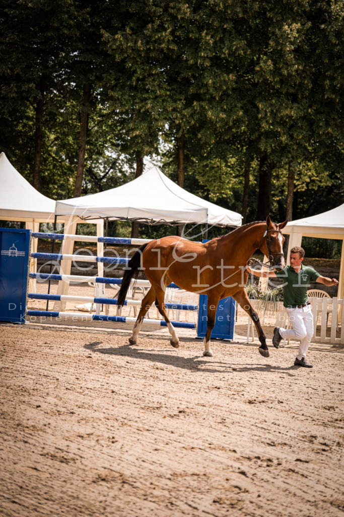 1.Fr00109 | Leoni Ertmer Photography - Realisiert mit Pictrs.com