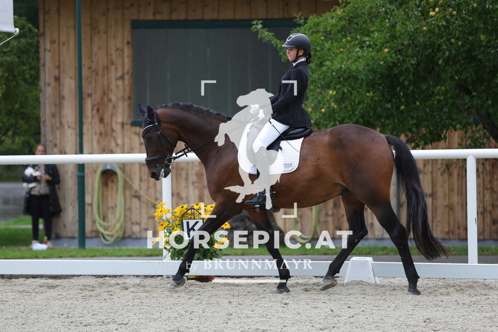 0P6A8372 | Willkommen bei Brunnmayr - Design & Fotografie – Ihrem Spezialisten für Reitturniere und Pferdeveranstaltungen in Oberösterreich, Salzburg und Bayern! Seit über 17 Jahren sind wir leidenschaftlich dabei.