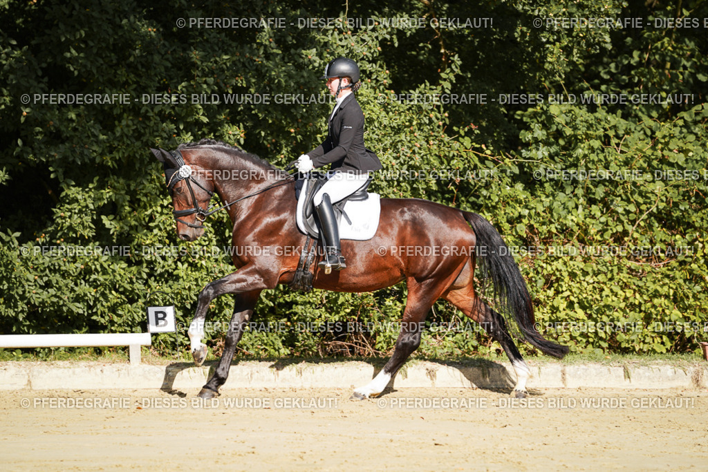 DSC08053 | Pferdegrafie