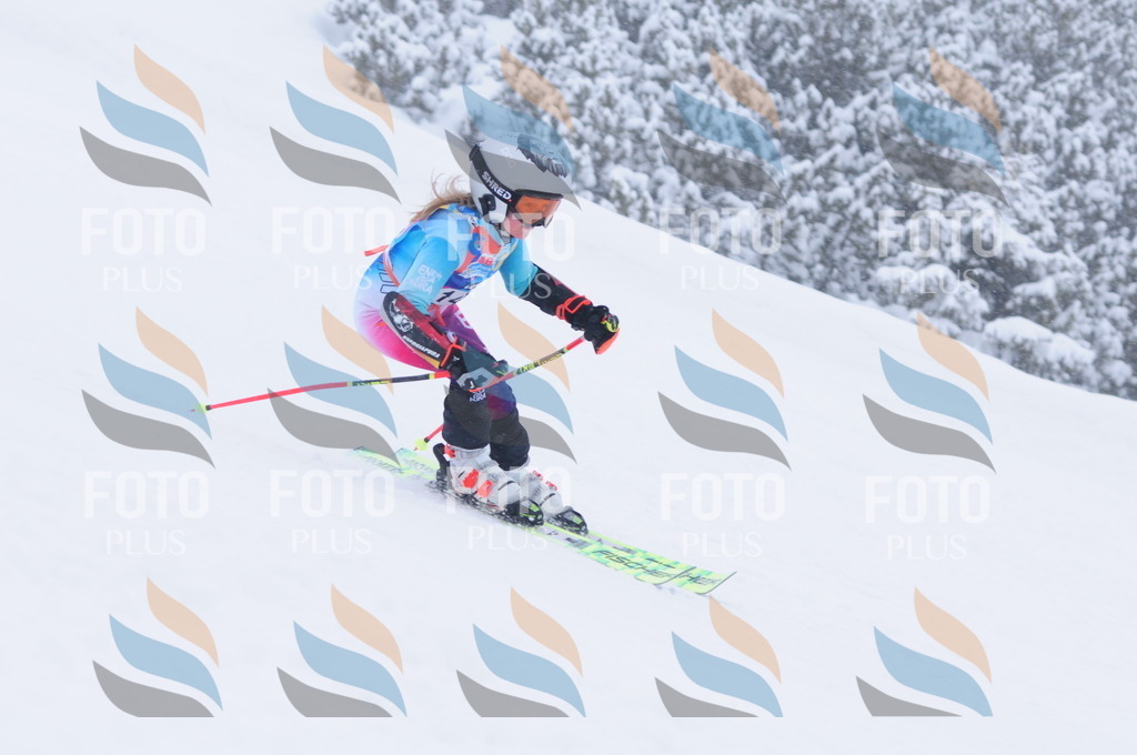 C1786 | holidayphoto