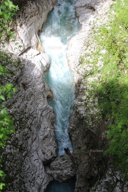 MG_4662 | Raphael - Realisiert mit Pictrs.com