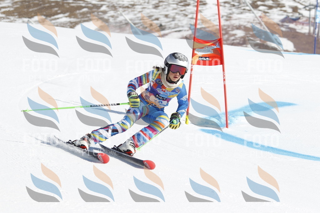 _U3G8654 | holidayphoto