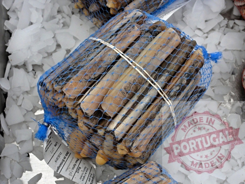 Razor clams in net bag cooling on ice | Fresh razor clams in a blue mesh bag resting on a bed of crushed ice - Realized with Pictrs.com